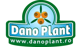 DANO PLANT
