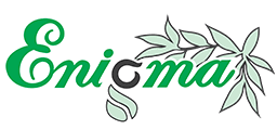 ENIGMA